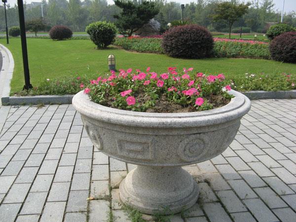 花盆 花盆